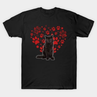 Valentines Day Cat Lover Heart Paw Shirt Gift T-Shirt